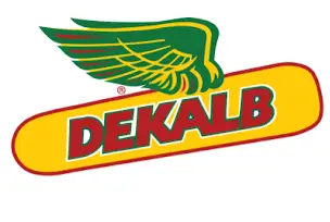 dekalab